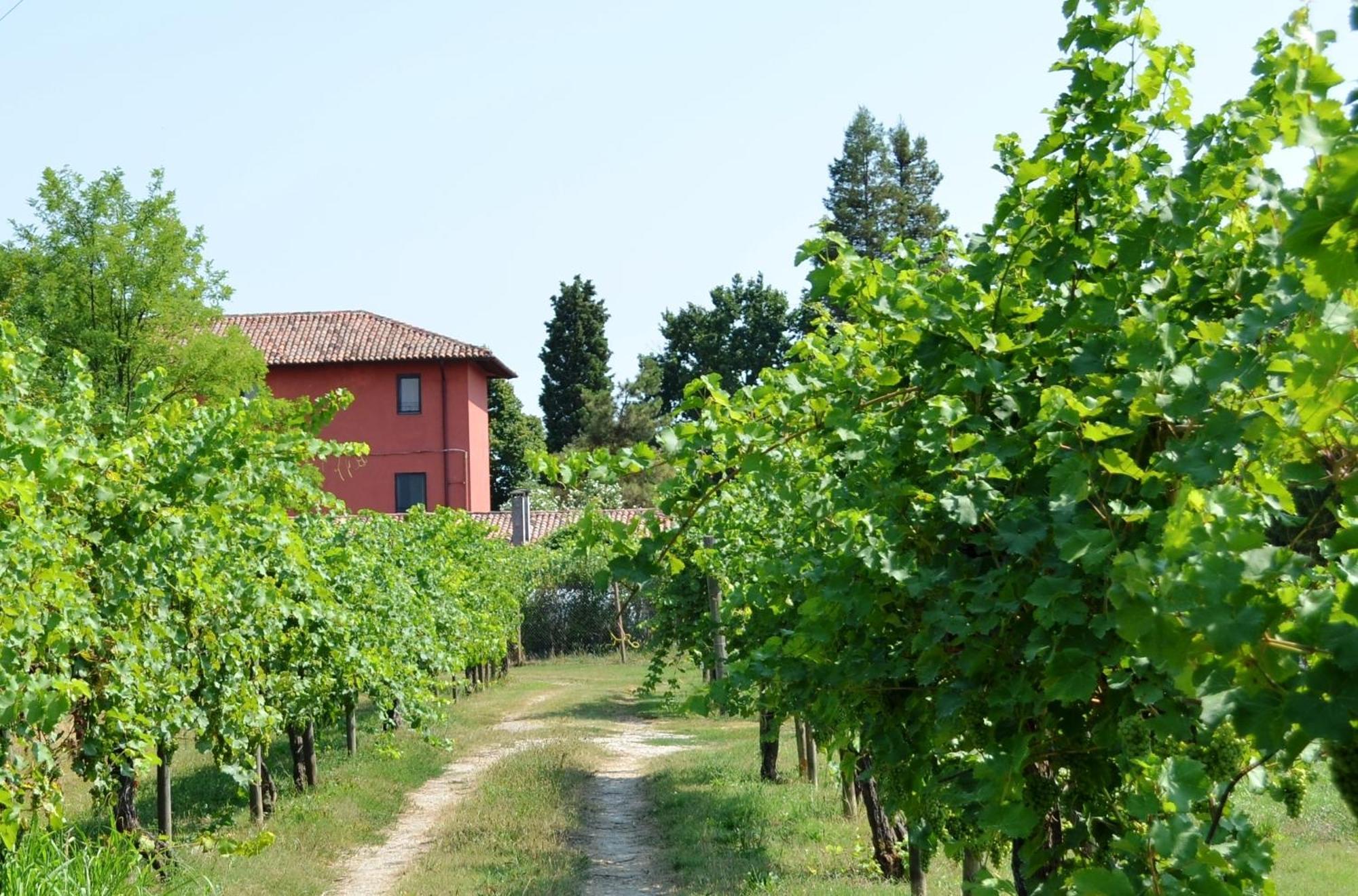 Agriturismo Isola Augusta 팔라쫄로델로스텔라 외부 사진